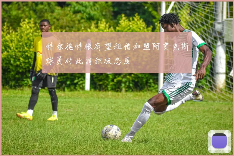 特尔施特根有望租借加盟阿贾克斯球员对此持积极态度