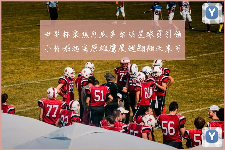 世界杯聚焦厄瓜多尔明星球员引领小将崛起高原雄鹰展翅翱翔未来可期