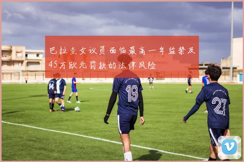 巴拉圭女议员面临最高一年监禁及45万欧元罚款的法律风险